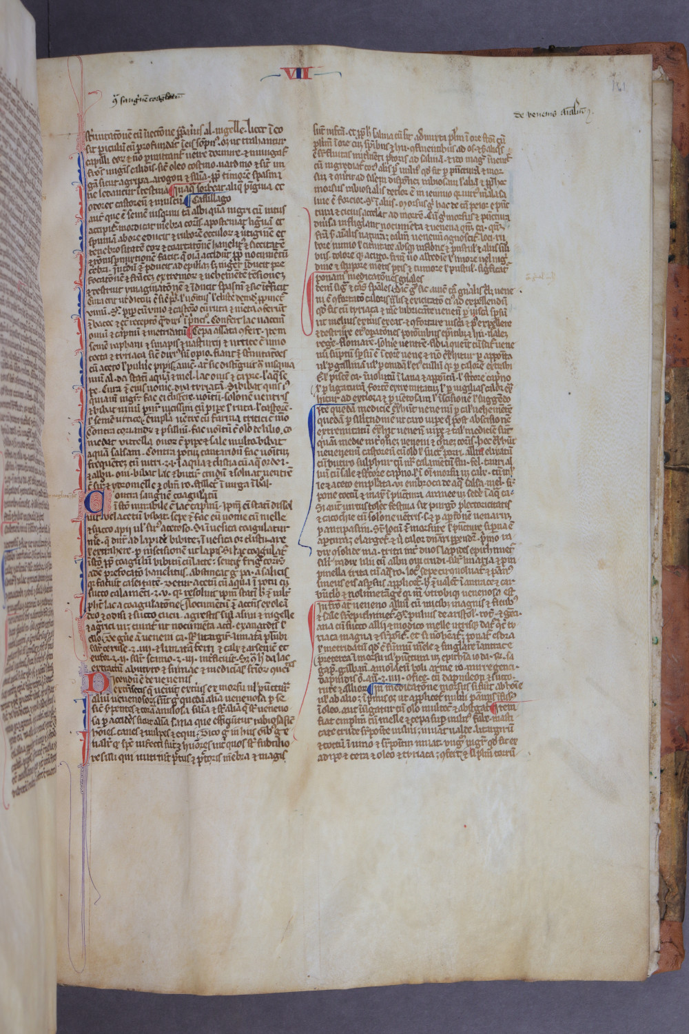 Folio 161 recto